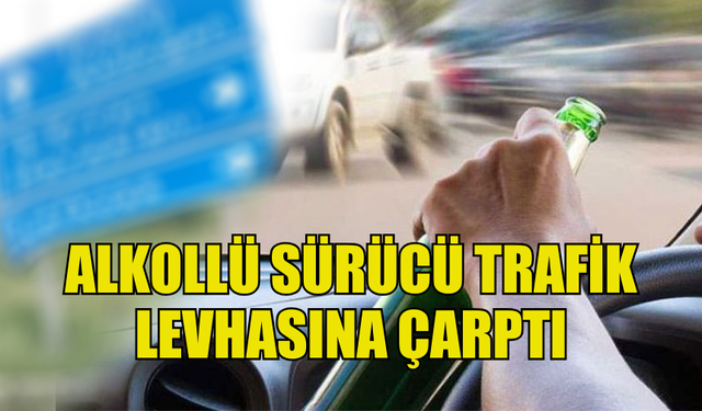 ALKOLLÜ SÜRÜCÜ MEYHANENİN KORKULUKLARINA VE TRAFİK LEVHASINA ÇARPTI