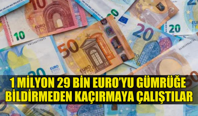 GÜMRÜĞE BEYAN EDİLMEMİŞ 1 MİLYON 29 BİN EURO'YU ÜLKEDEN ÇIKARMAYA ÇALIŞTILAR