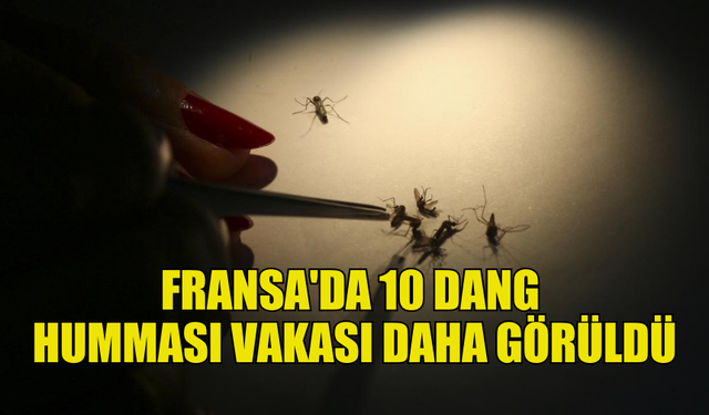 FRANSA’DA 10 KİŞİDE DAHA DANG HUMMASI TESPİT EDİLDİ