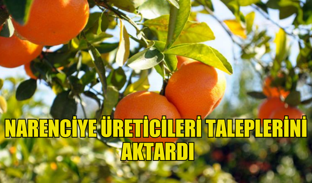 KUZEY KIBRIS NARENCİYE ÜRETİCİLERİ BİRLİĞİ  TALEPLERİNİ AKTARDI