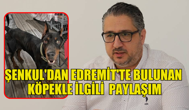 GİRNE BELEDİYE BAŞKANI MURAT ŞENKUL PAYLAŞTI, EVDEN KAÇTIĞI DÜŞÜNÜLEN KÖPEK EDREMİT'TE BULUNDU