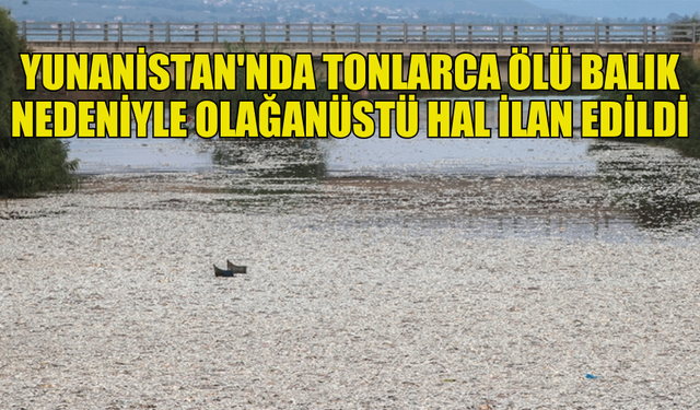 YUNANİSTAN'IN VOLOS KENTİNDE TONLARCA ÖLÜ BALIK NEDENİYLE OLAĞANÜSTÜ HAL İLAN EDİLDİ