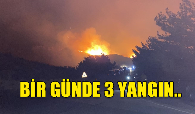 BİR GÜNDE 3 YANGIN MEYDANA GELDİ