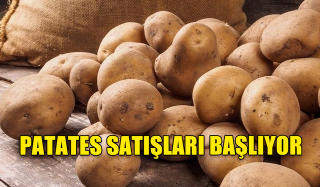 İLKBAHAR PATATES SATIŞLARI YARINDAN İTİBAREN BAŞLIYOR