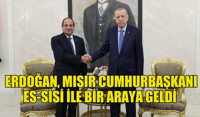 TÜRKİYE CUMHURBAŞKANI ERDOĞAN, MISIR CUMHURBAŞKANI ES-SİSİ İLE BİR ARAYA GELDİ