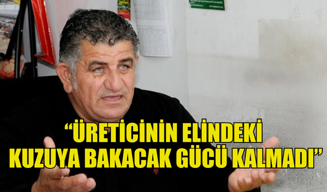 NAİMOĞULLARI: “ÜRETİCİNİN ELİNDEKİ KUZUYA BAKACAK GÜCÜ KALMADI”