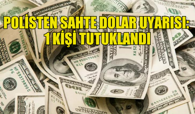 SAHTE 100 DOLAR PİYASAYA SÜREN ZANLI GİRNE’DE YAKALANDI