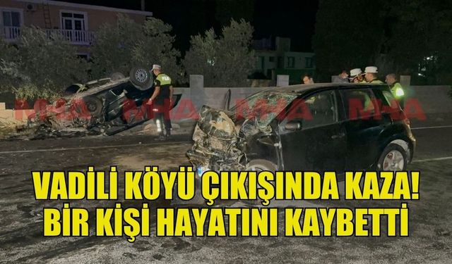 VADİLİ KÖYÜ’NDE TRAFİK KAZASI! BİR KİŞİ ARABAYA SIKIŞTI