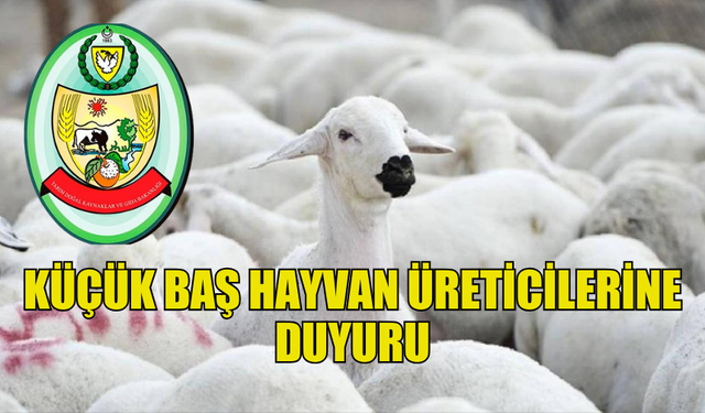 KÜÇÜKBAŞ HAYVAN ÜRETİCİLERİ EK BEYANDA BULUNABİLECEK