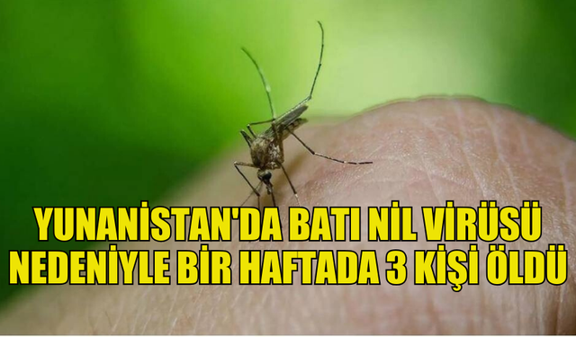 YUNANİSTAN'DA BATI NİL VİRÜSÜ NEDENİYLE 3 KİŞİ  HAYATINI KAYBETTİ