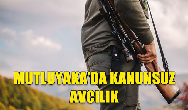 MUTLUYAKA’DA KANUNSUZ AVCILIK: 33 ARI KUŞU VE 1 PULYA KUŞU AVLANDI