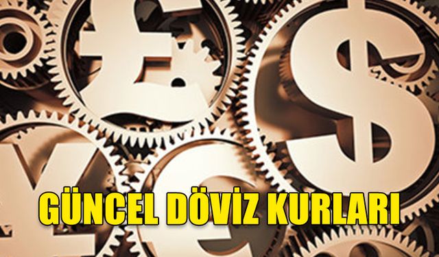 KKTC'DE SERBEST DÖVİZ PİYASASI