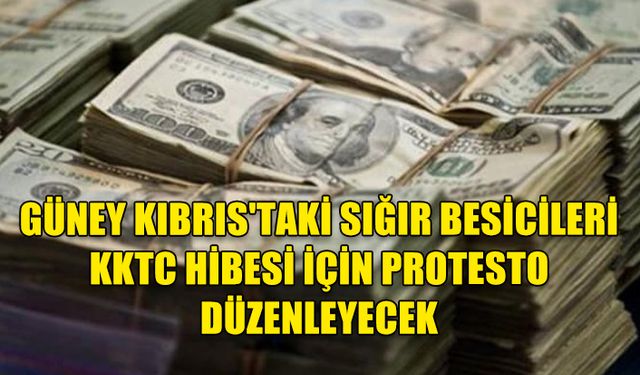 GÜNEY KIBRIS'TAKİ SIGIR BESİCİLERİ KKTC'YE VERİLECEK 39.5 MİLYON EURO HİBEYİ PROTESTO EDECEK