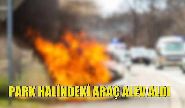 VADİLİ'DE PARK HALİNDEKİ ARAÇ ALEV ALDI