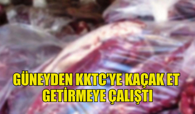 GÜNEYDEN KAÇAK ET GETİRMEYE ÇALIŞAN ŞAHIS HAKKINDA YASAL İŞLEM BAŞLATILDI