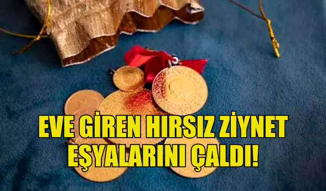 GÖNYELİ'DE EVE GİREN HIRSIZ ZİYNET EŞYALARINI  ÇALDI!