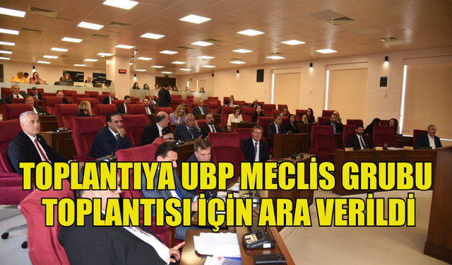 MECLİS'TE İKİNCİ TURDA DA TÖRE SALT ÇOĞUNLUĞA ULAŞAMADI...