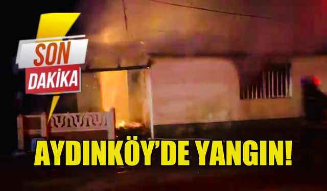 YANGIN ÇIKAN EV KÜLE DÖNDÜ!