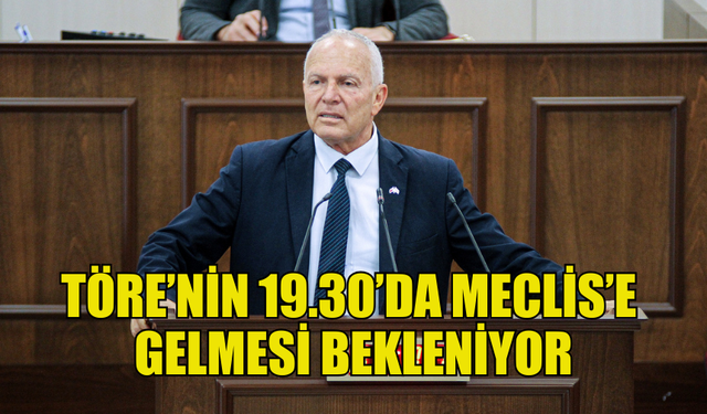 TÖRE'NİN SAAT 19.30'DA MECLİS'TE OLMASI BEKLENİYOR