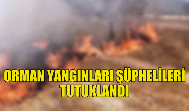 KURU OTLARI ATEŞE VEREREK YANGIN ÇIKARTAN 4 KİŞİ YAKALANDI