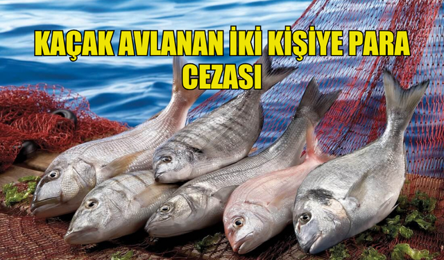 KANUNSUZ AVCILIK YAPAN BALIKÇILARA CEZA KESİLDİ