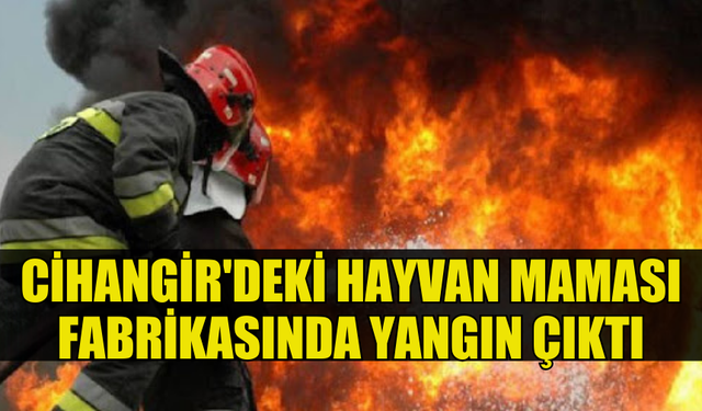 CİHANGİR'DEKİ FABRİKADA YANGIN: BİR ŞAHIS HASTANEYE KALDIRILDI