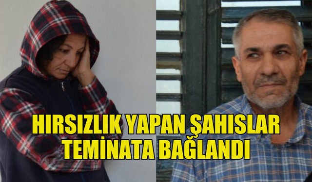 HIRSIZLIK YAPAN ŞAHISLAR TEMİNATLA SERBEST BIRAKILDI