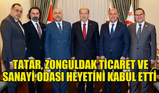 CUMHURBAŞKANI TATAR, ZONGULDAK TİCARET VE SANAYİ ODASI HEYETİNİ KABUL ETTİ