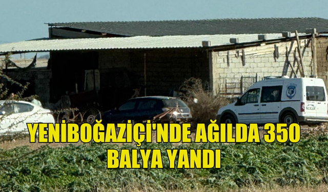 YENİBOĞAZİÇİ'NDE AĞIL YANGINI: 350 BALYA KÜL OLDU