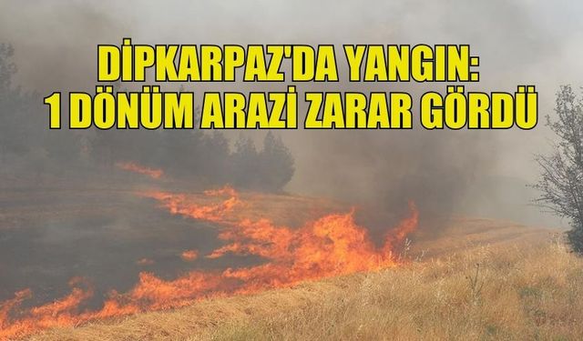 DİPKARPAZ'DA YANGIN: KURU OTLAR VE MAKİ BİTKİLERİ ZARAR GÖRDÜ