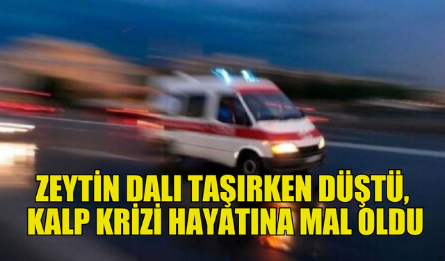 ZEYTİN DALI TAŞIRKEN DÜŞEN ALİ NİHAT PAYAS, KALP KRİZİ GEÇİRDİ