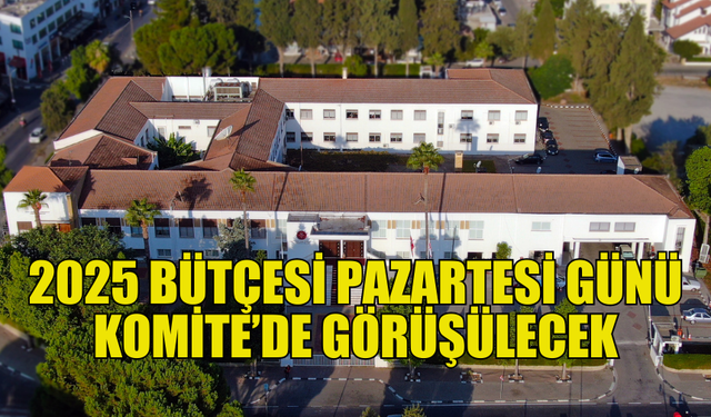 2025 BÜTÇESİ PAZARTESİ GÜNÜ KOMİTE’DE GÖRÜŞÜLMEYE BAŞLAYACAK