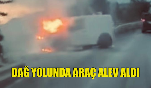 DAĞ YOLUNDA ARAÇ YANDI