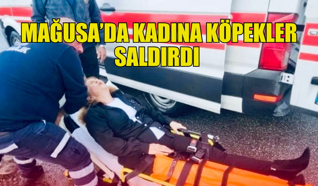 KÖPEK SALDIRISINDA KADININ AYAĞI KIRILDI