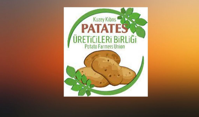 PATATES ÜRETİCİLERİ, FİYATLARDAKİ YÜKSELİŞİ ARACILARA BAĞLADI