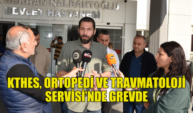 HEMŞİRELER VE EBELER SENDİKASI, GREVE GİTTİ