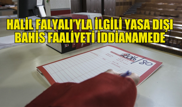 FALYALI VE EŞİNİN DE ARALARINDA OLDUĞU 250 SANIĞA İDDİANAME