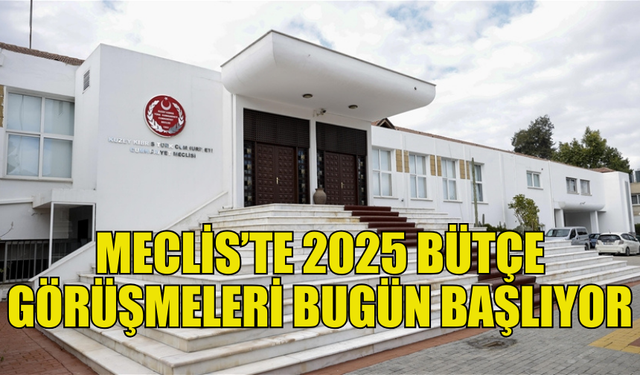 CUMHURİYET MECLİSİ, 2025 BÜTÇESİ İÇİN TOPLANIYOR