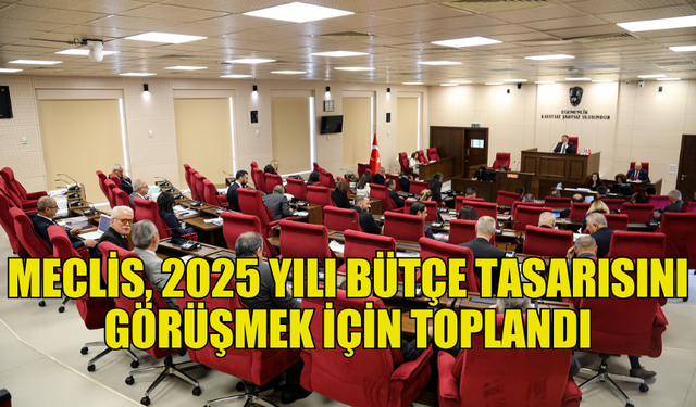 2025 MALİ YILI BÜTÇESİ MECLİS’TE GÖRÜŞÜLMEYE BAŞLADI