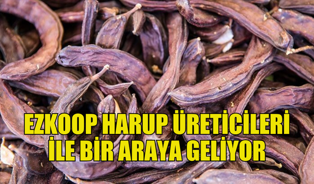 HARNUP ÜRETİCİLERİNDEN TEPKİ: “4 AYDIR ÖDEME YOK”