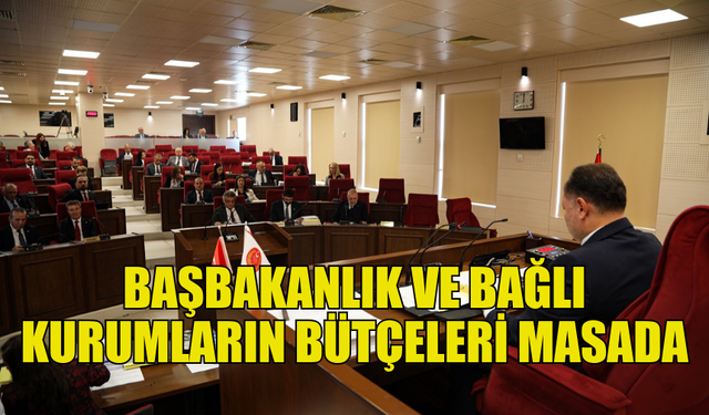 BAŞBAKANLIK VE BAŞBAKANLIĞA BAĞLI KURUMLARIN BÜTÇELERİ GÖRÜŞÜLECEK