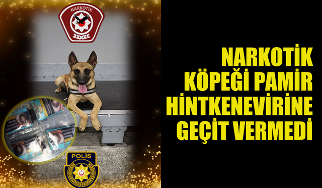 NARKOTİK DEDEKTÖR KÖPEKLERİ UYUŞTURUCU TACİRLERİNE GEÇİT VERMİYOR...