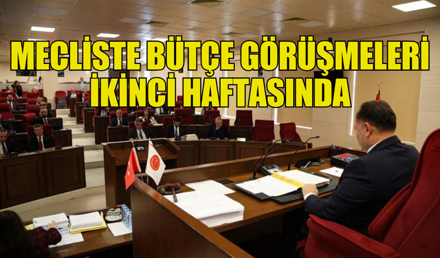 MECLİS GENEL KURULU BUGÜN BÜTÇE GÖRÜŞMELERİNE DEVAM EDİYOR