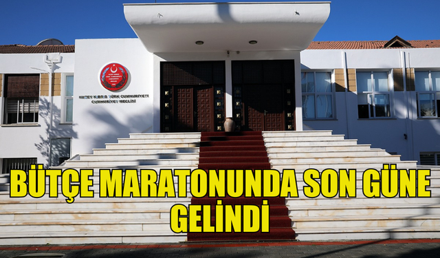 BÜTÇE MARATONU BUGÜN SONA ERİYOR