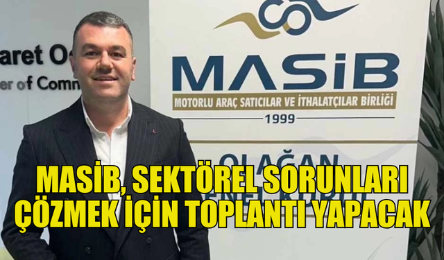 MASİB, GALERİLERE GÖNDERİLEN RESEN VERGİLER KONUSUNU ELE ALACAK