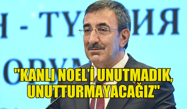 TÜRKİYE CUMHURBAŞKANI YARDIMCISI YILMAZ, "KANLI NOEL" ŞEHİTLERİNİ ANDI