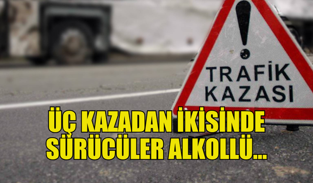 TRAFİK KAZASI YAPIP OLAY YERİNDEN KAÇAN ŞAHIS TUTUKLANDI