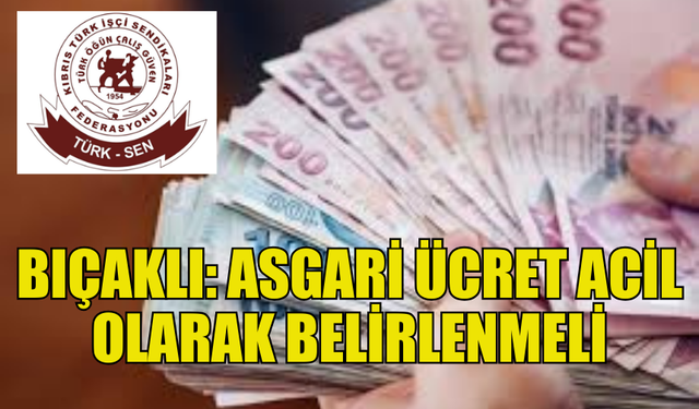 TÜRK-SEN, YENİ ASGARİ ÜCRETİN “ACİL OLARAK” BELİRLENMESİNİ İSTEDİ