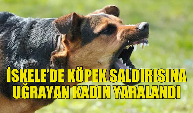 İSKELE'DE SAHİBİNİN SERBEST BIRAKTIĞI KÖPEK  YÜRÜYÜŞ YAPAN KADINA SALDIRDI