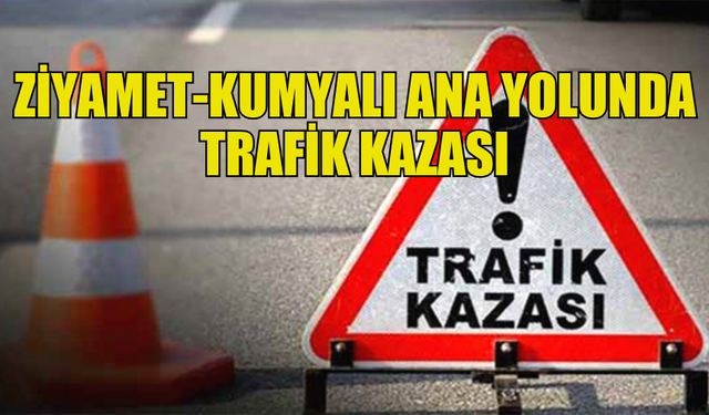 ZİYAMET-KUMYALI ANA YOLUNDA TRAFİK KAZASI: BİR YARALI